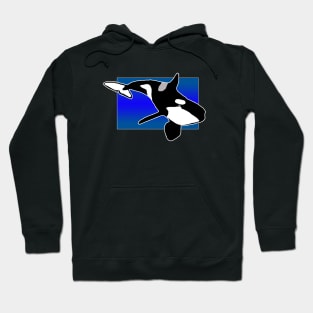 Orca Hoodie